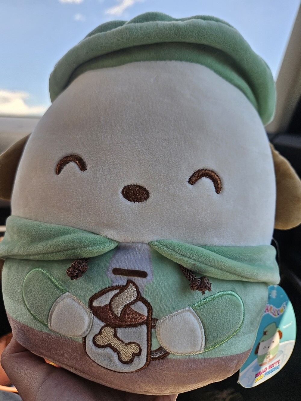 NWT Squishmallows Pochacco Plush in Camping Outfit Hello Kitty Sanrio 8" Plush